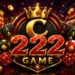 C222 Game